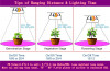 grow_plant3.jpg
